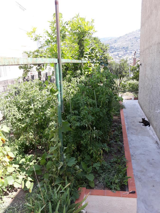 דוברובניק Studio Apartment Garden מראה חיצוני תמונה